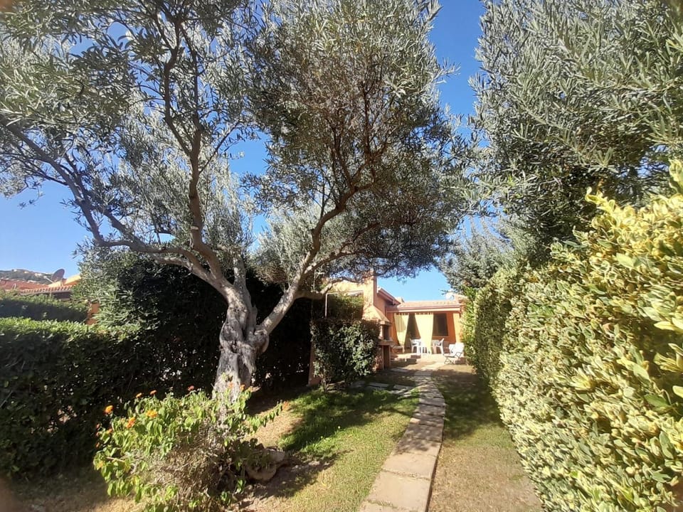 Garden, Balcony/Terrace