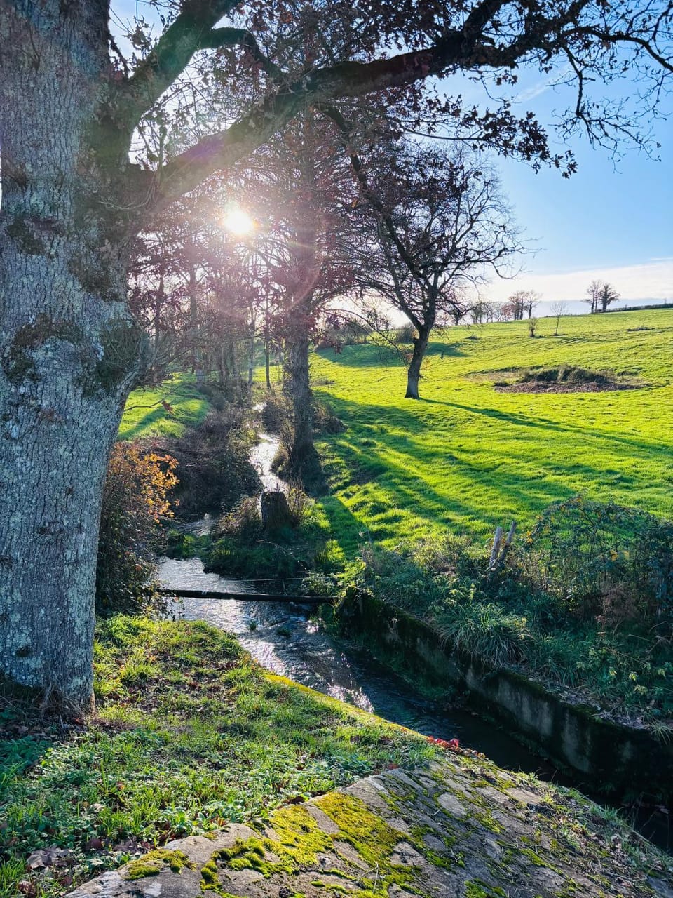 Maison Des Glycines Bed and Breakfast in Nouvelle-Aquitaine