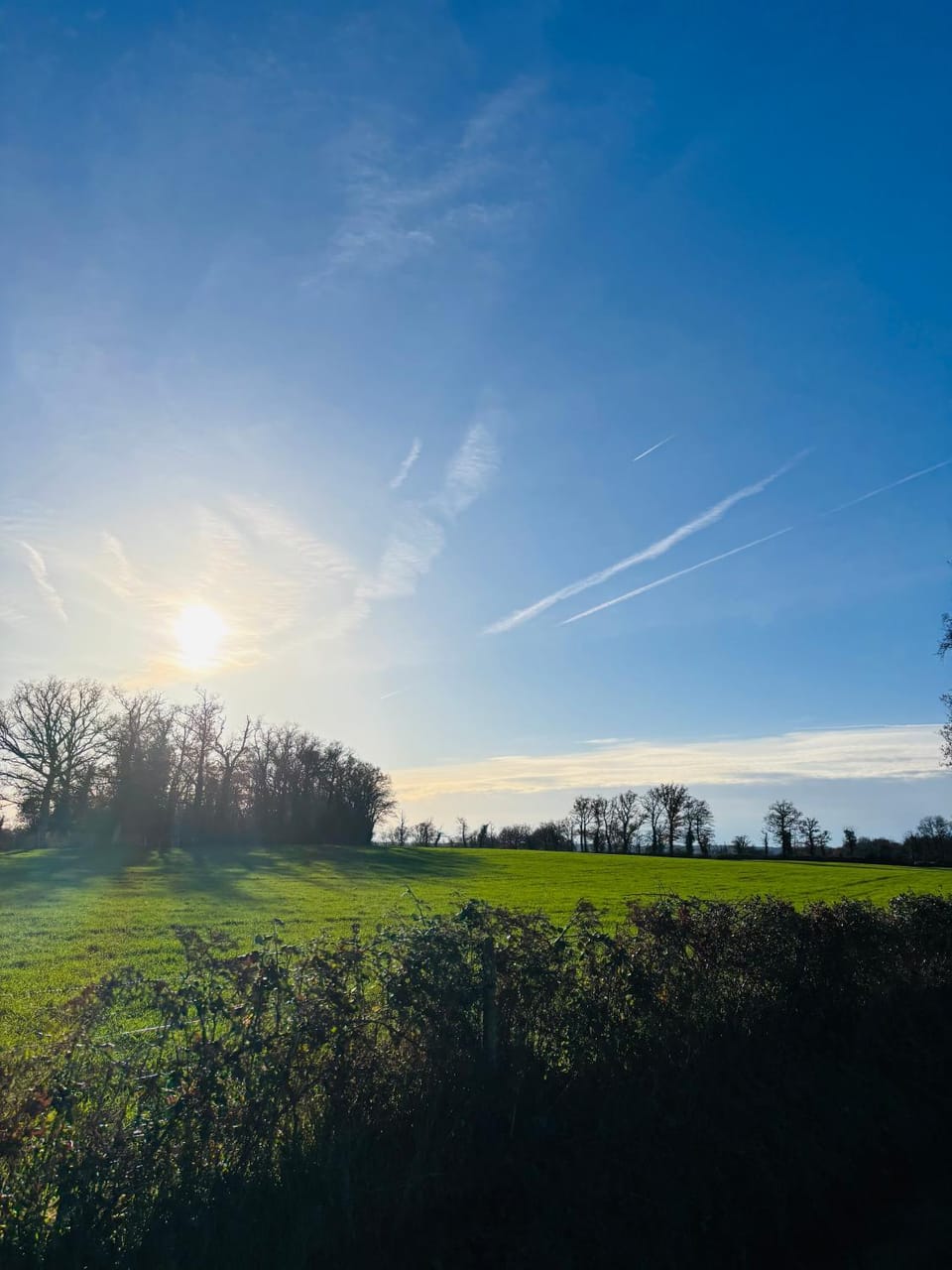 Maison Des Glycines Bed and Breakfast in Nouvelle-Aquitaine