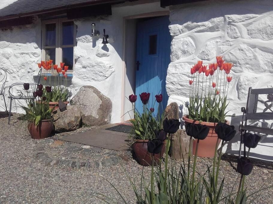 Traditional stone cottage with sea views in Snowdonia National Park House in Wales