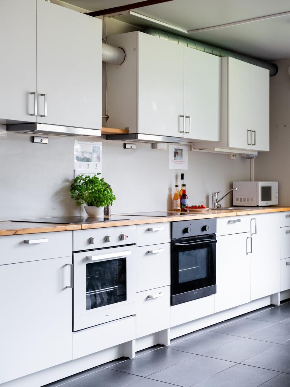 Kitchen or kitchenette, minibar, pet friendly, stove, toaster
