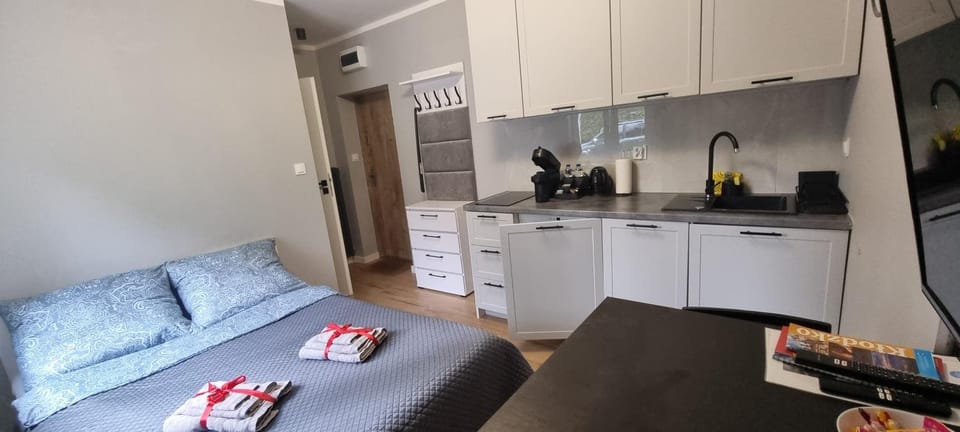 Slate Apartament Polanica - Zdrój Apartment in Lower Silesian Voivodeship
