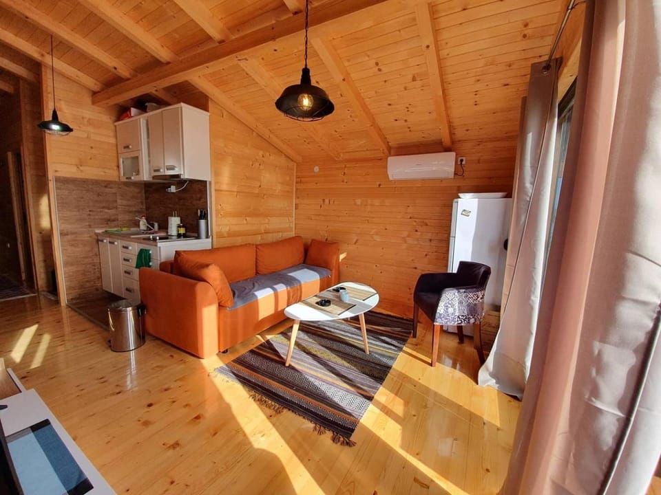 TV and multimedia, Kitchen or kitchenette, Living room, Seating area, air conditioner
