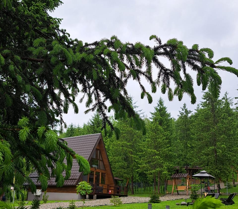 Property building, Spring, Natural landscape