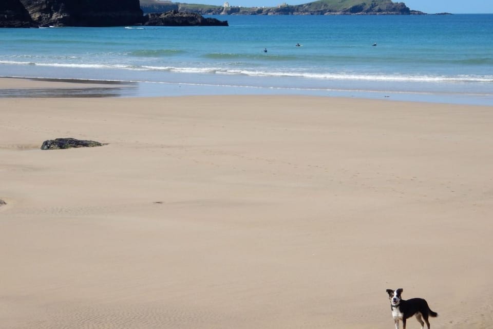 Cosy Coastal Cottage 5 Min Walk to Porth Beach House in Newquay
