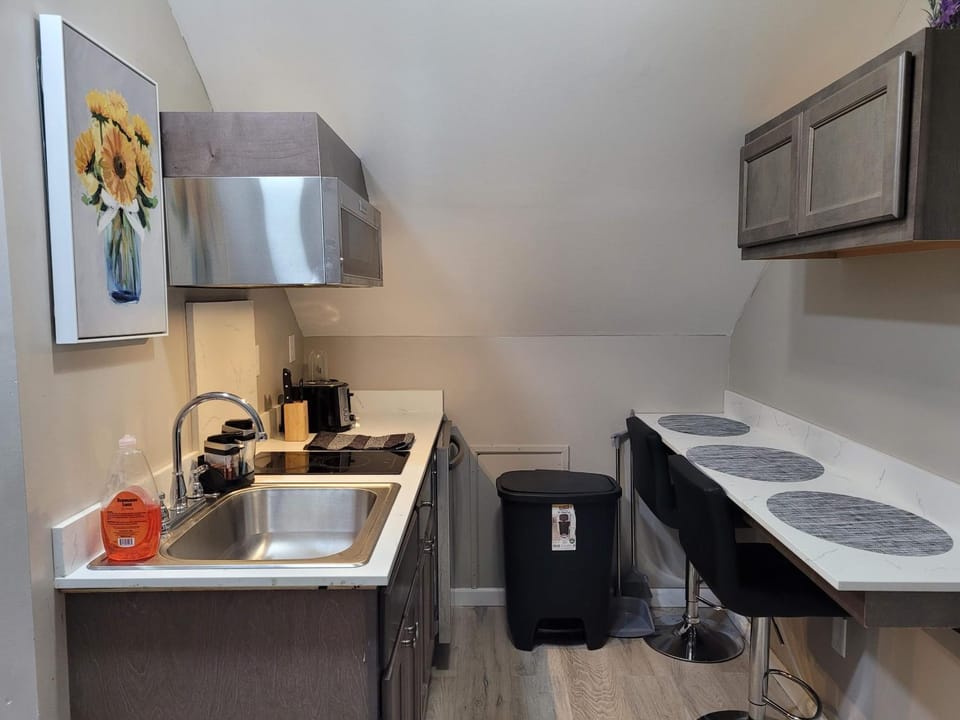Kitchen or kitchenette, dishwasher, minibar, stove, toaster