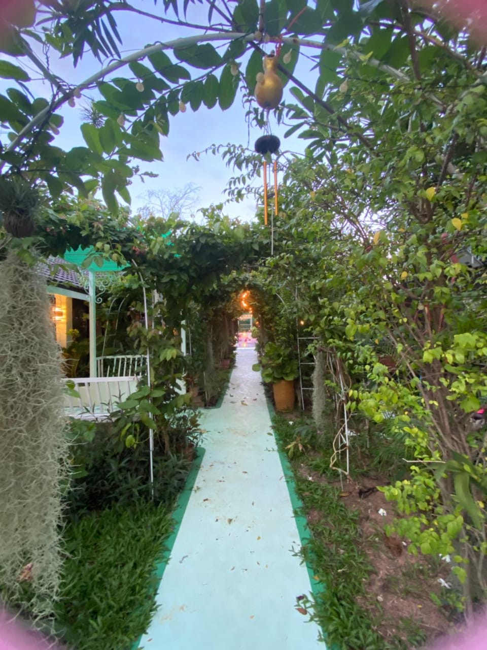 Garden view