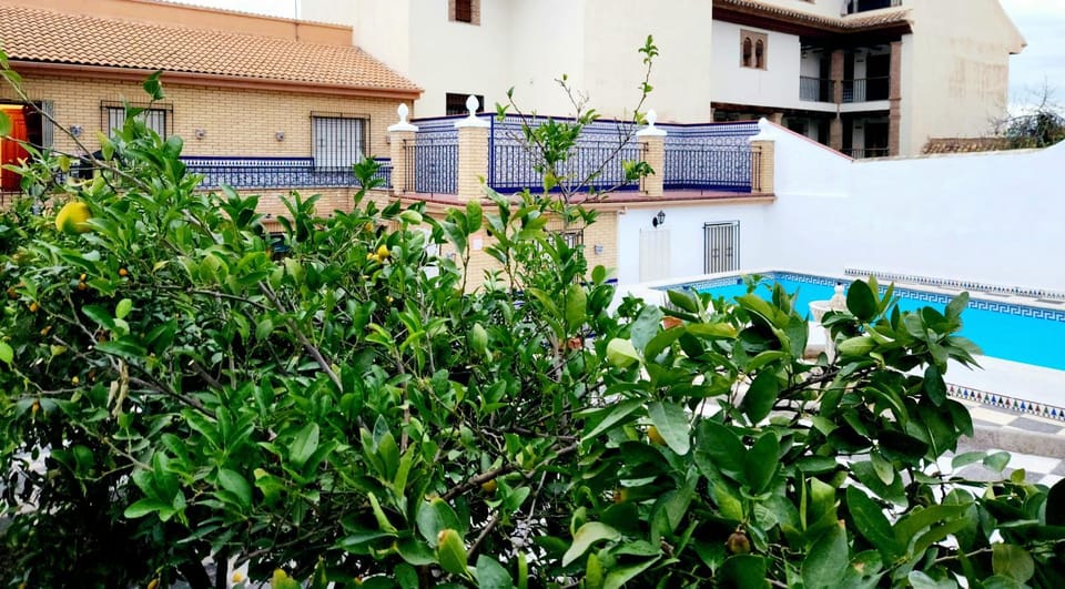 Patio, Off site