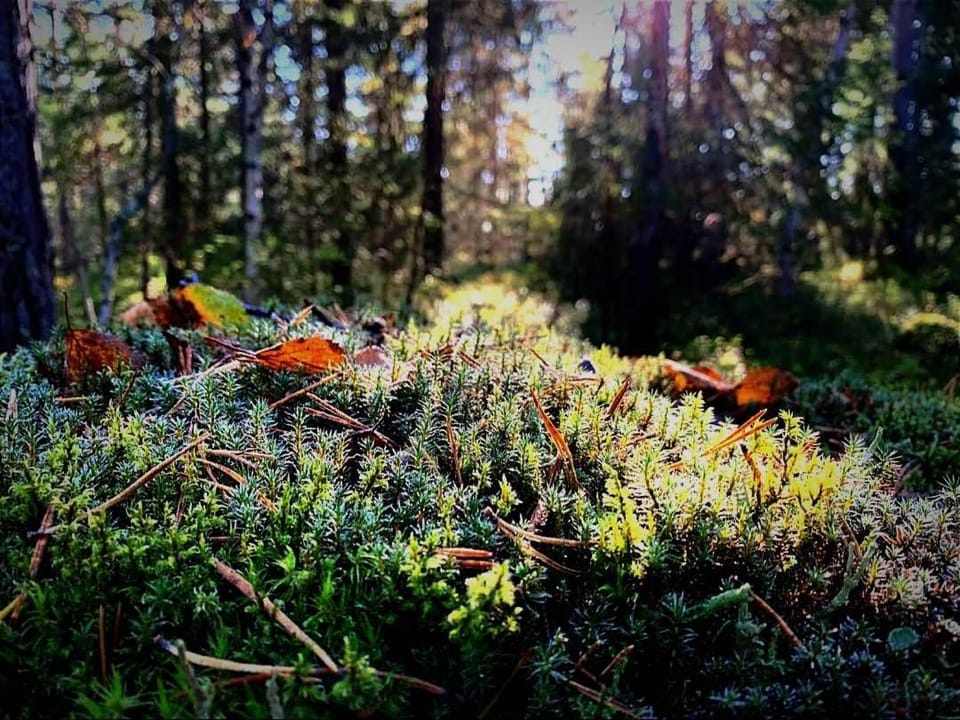 Nearby landmark, Natural landscape, Hiking