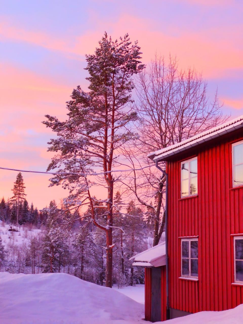 Property building, Winter