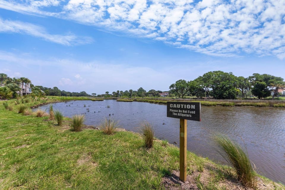 TL812: 812 Treeloft Trace House in Seabrook Island