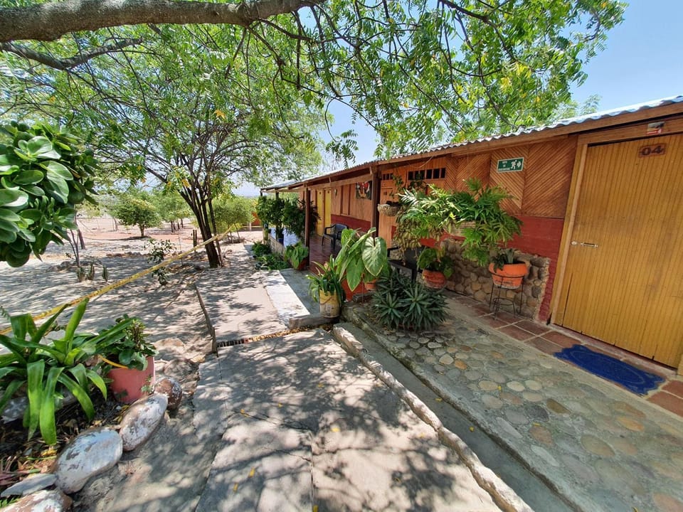 Garden view