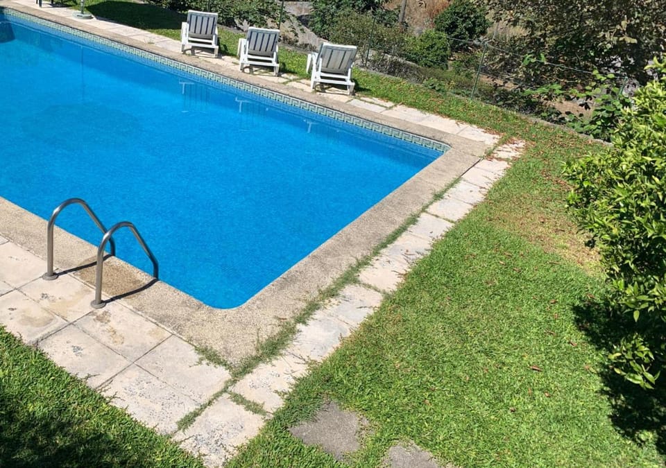 Garden, Garden view, Pool view, Swimming pool, sunbed