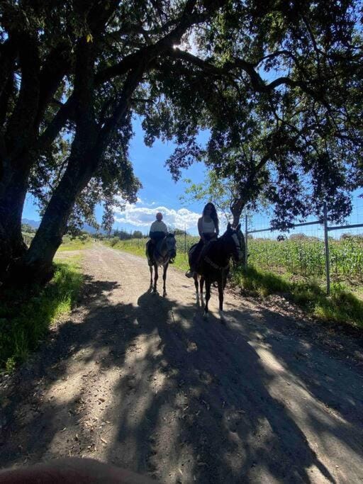 Horse-riding