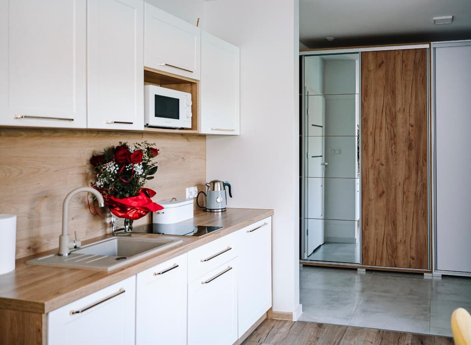 Kitchen or kitchenette, oven, stove, wardrobe