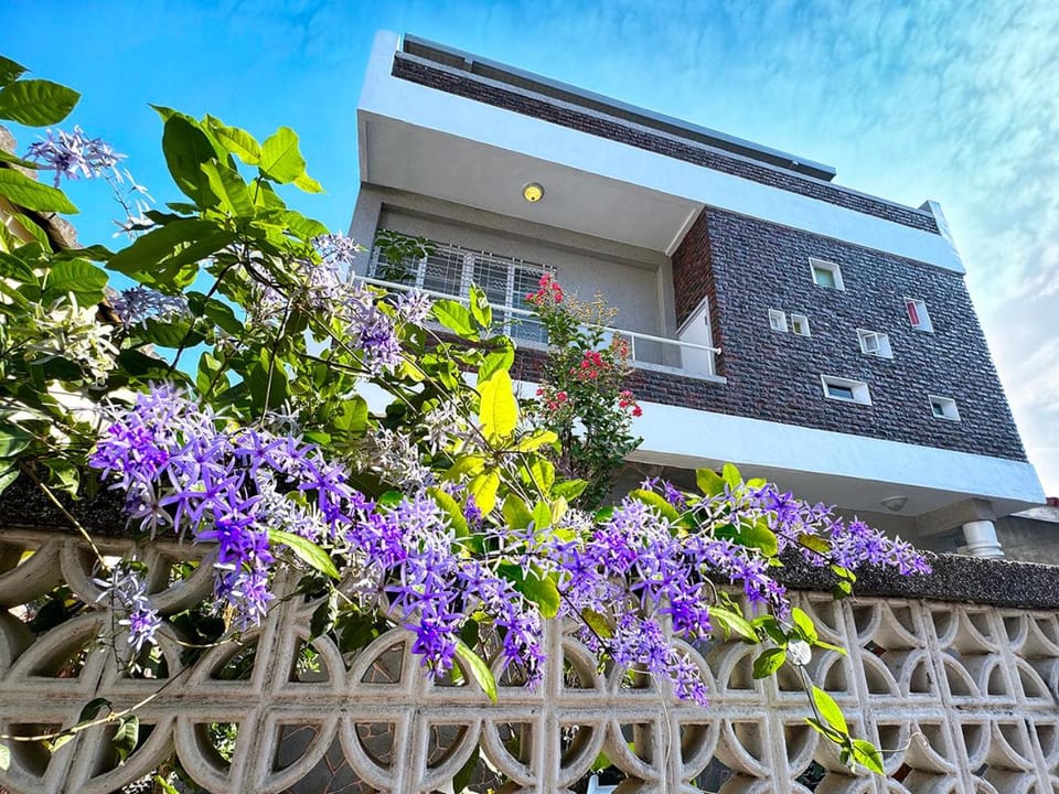 Property building, Facade/entrance, Day, Property logo or sign, Garden view
