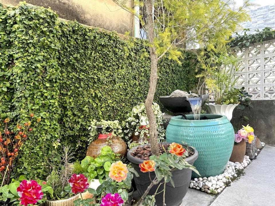Garden view