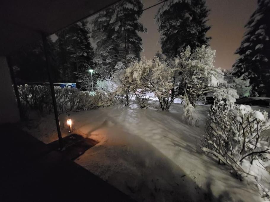 Patio, Winter