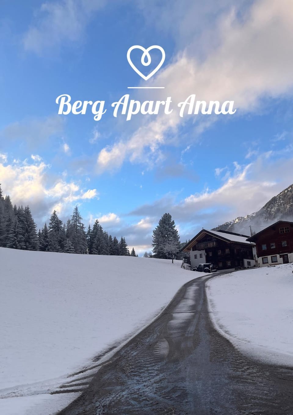 Berg Apart Anna Apartment in Tyrol
