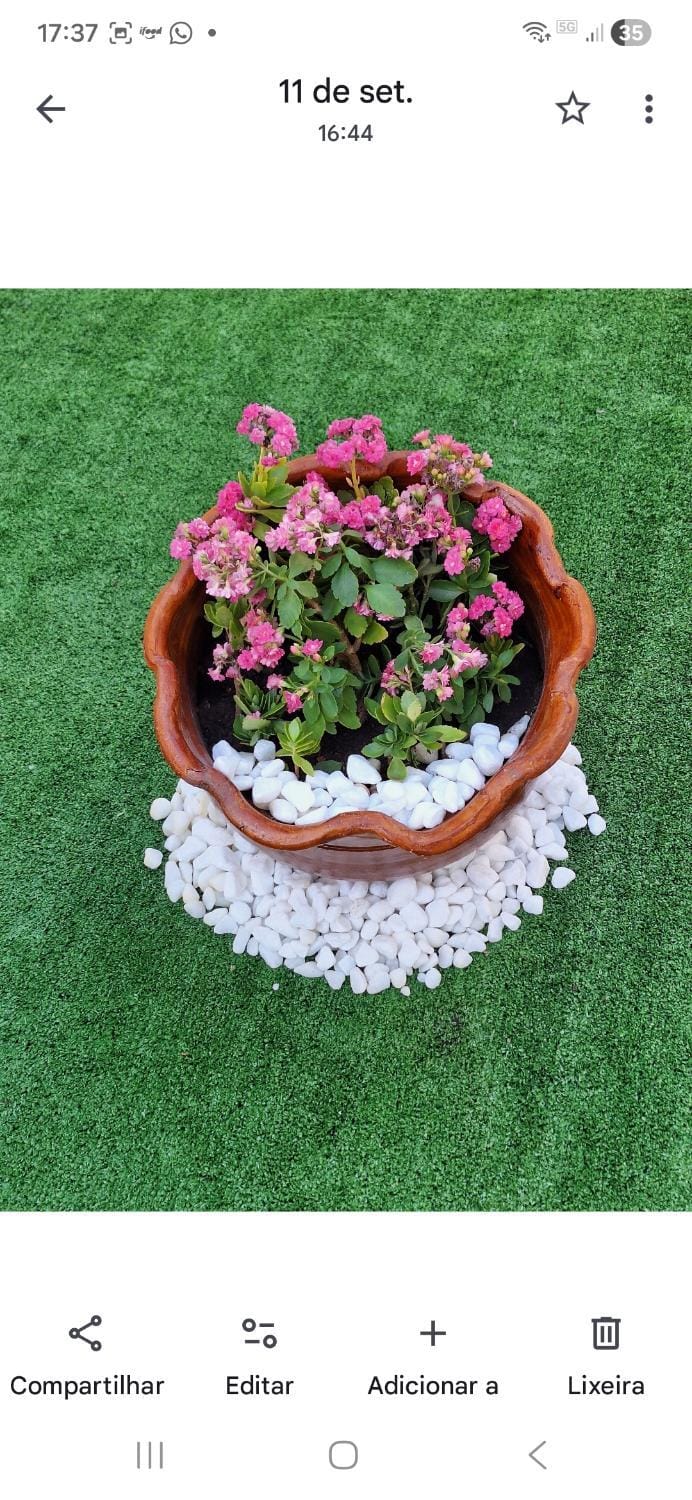 Spring, Garden, Garden view