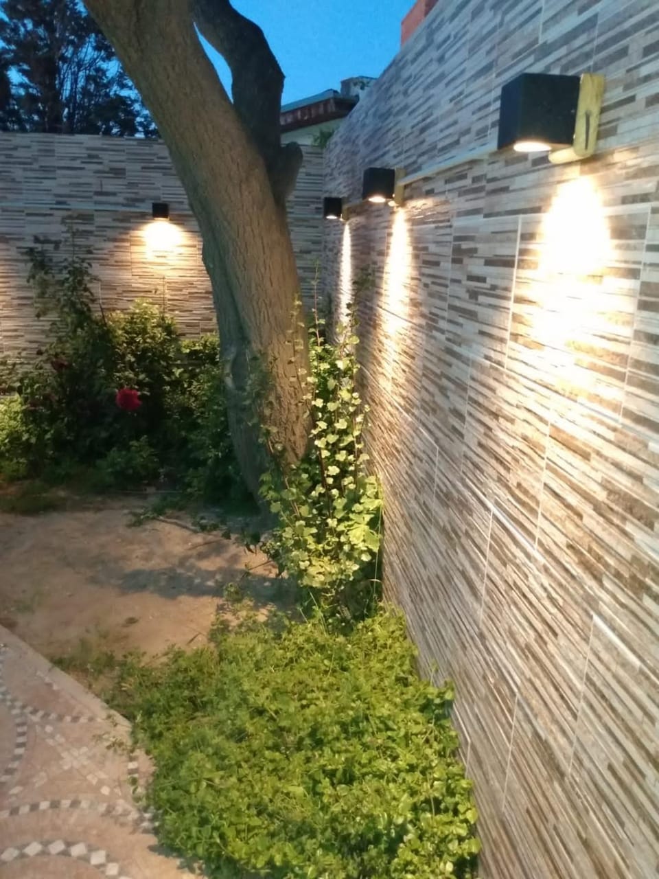 Natural landscape, Garden, Inner courtyard view