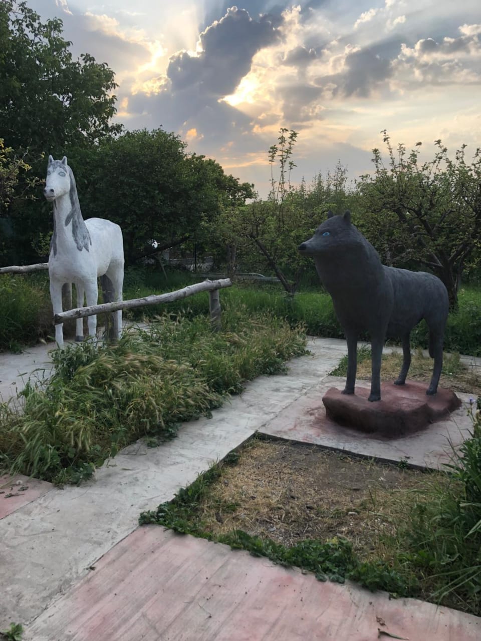Garden