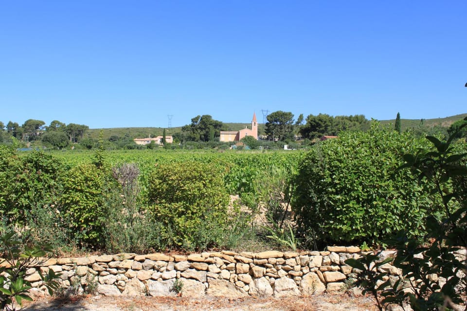 Nearby landmark, Natural landscape, Garden, Garden view, Landmark view