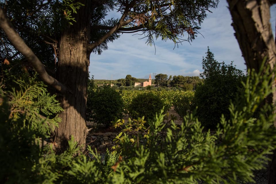 Nearby landmark, Natural landscape, Garden, Garden view