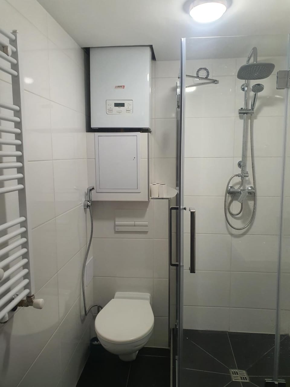 Shower, Toilet, Bathroom