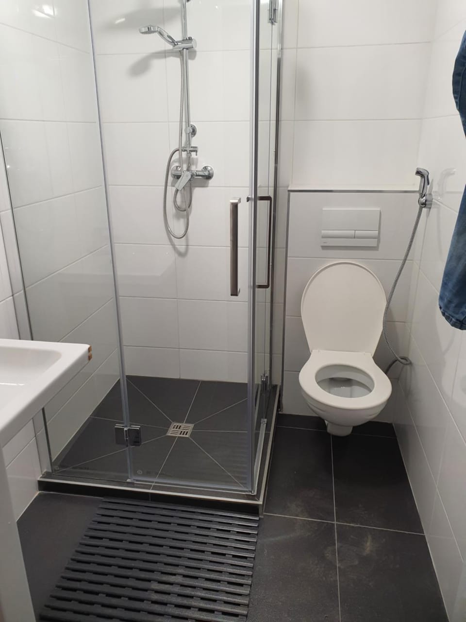 Shower, Toilet, Bathroom