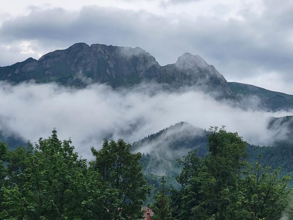 Mountain view