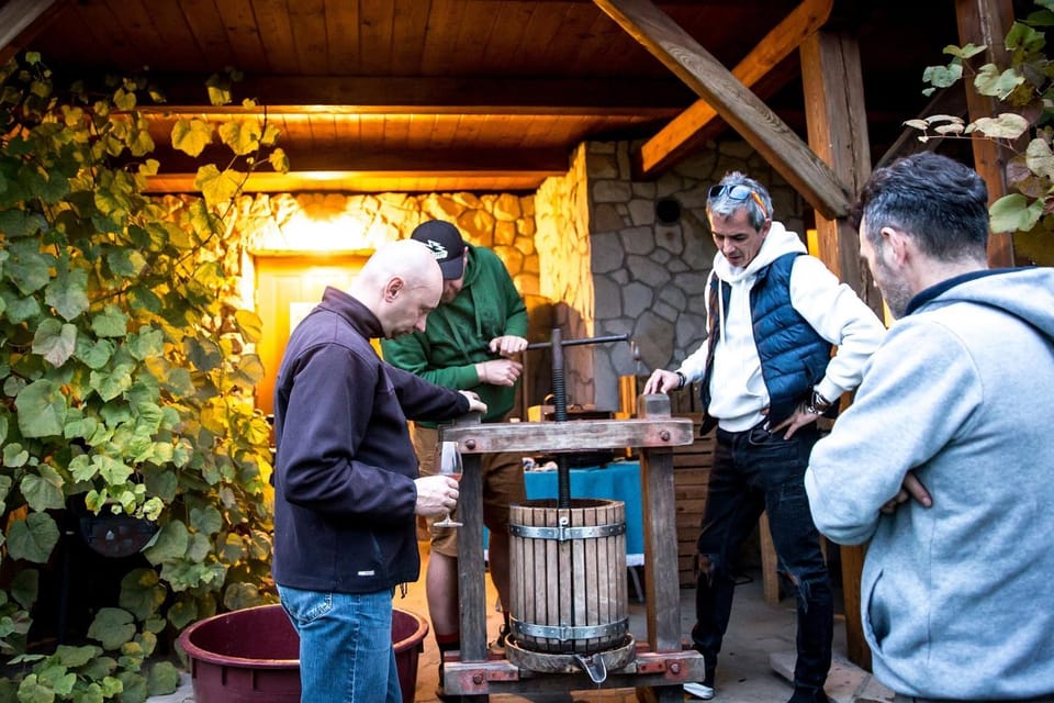 People, group of guests