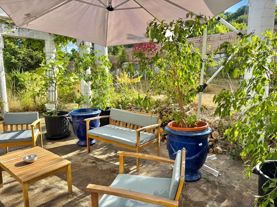 Patio, Day, Garden, Garden view