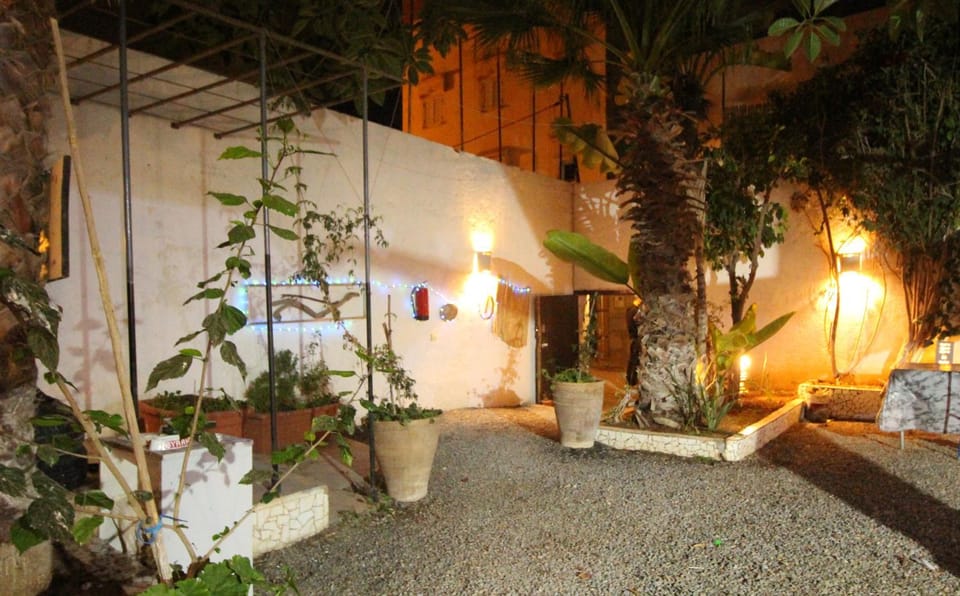 Night, Garden, Garden view
