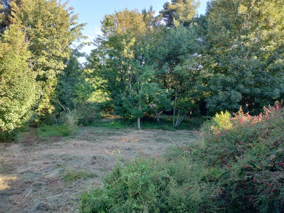 Day, Natural landscape, Garden view