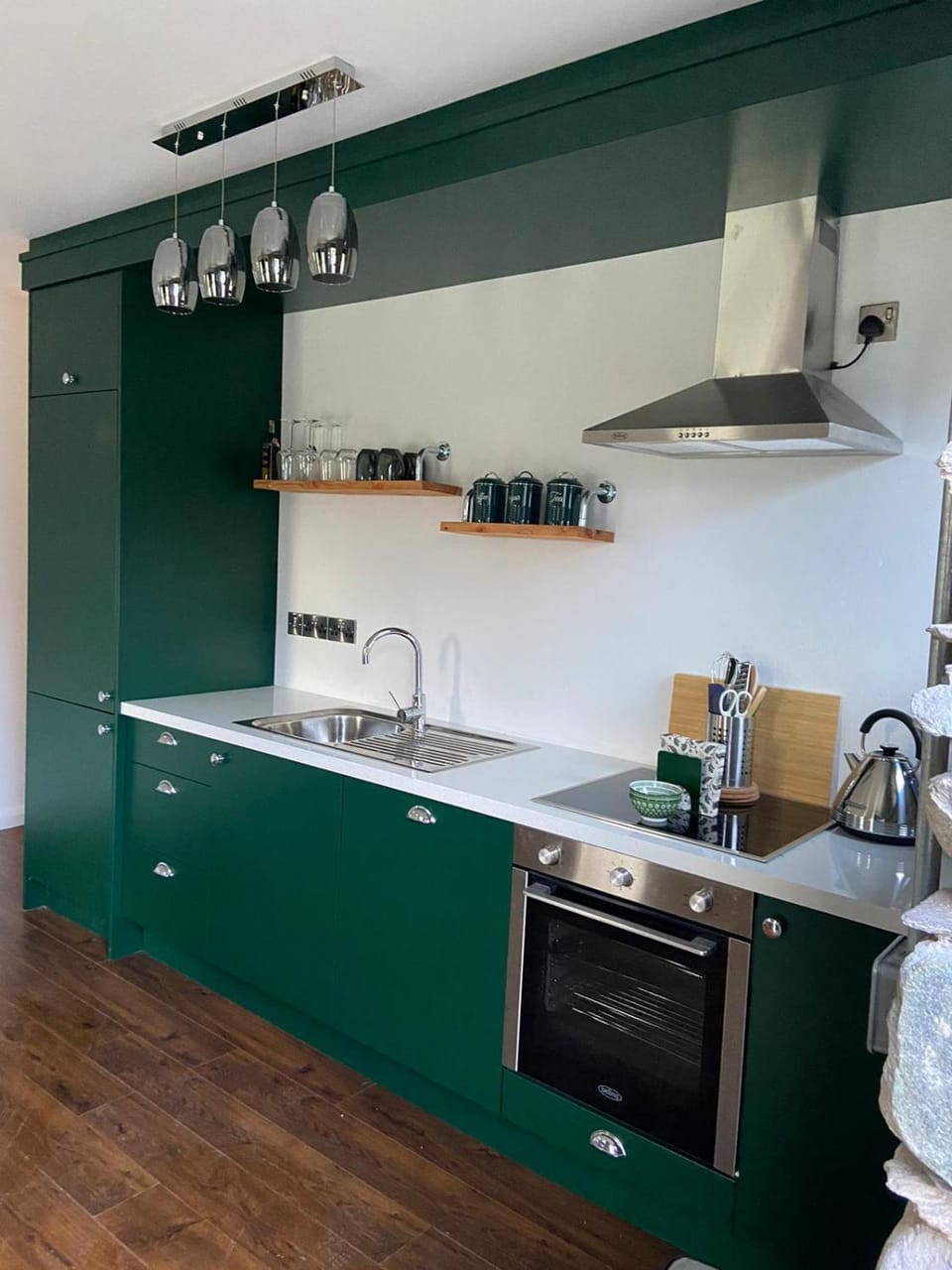 Kitchen or kitchenette, dishwasher, pet friendly, stove