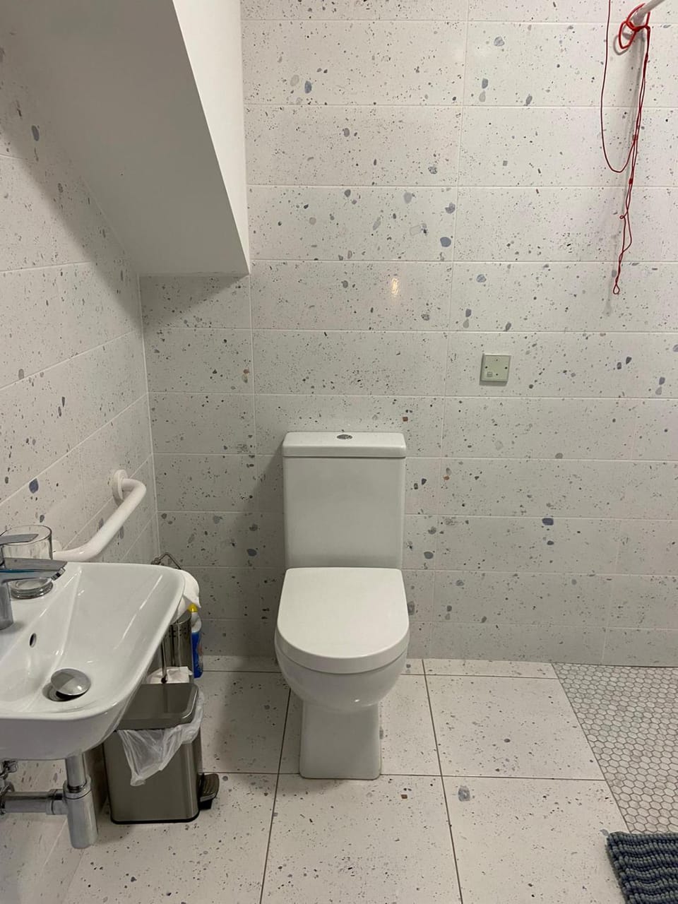 Shower, Toilet, Bathroom, acessibility