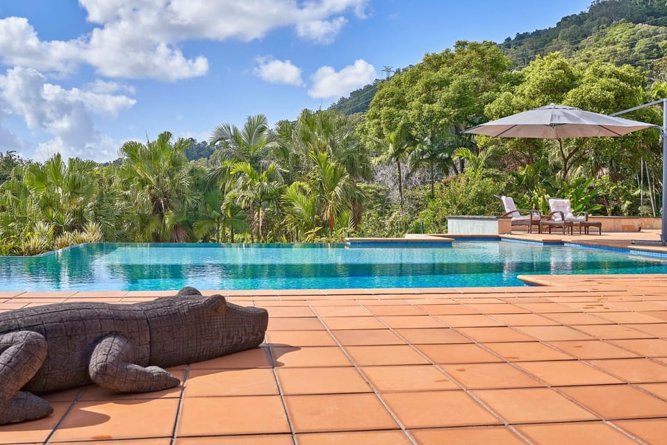 Patio, Spring, Day, Natural landscape, Garden, Garden view, Mountain view, Pool view, Swimming pool, sunbed