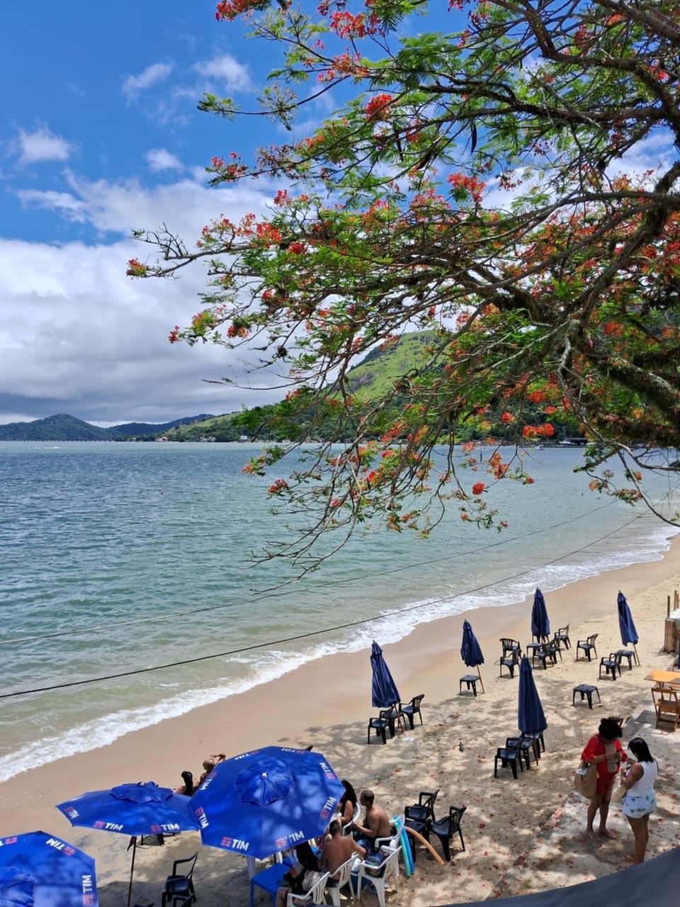 Natural landscape, Beach