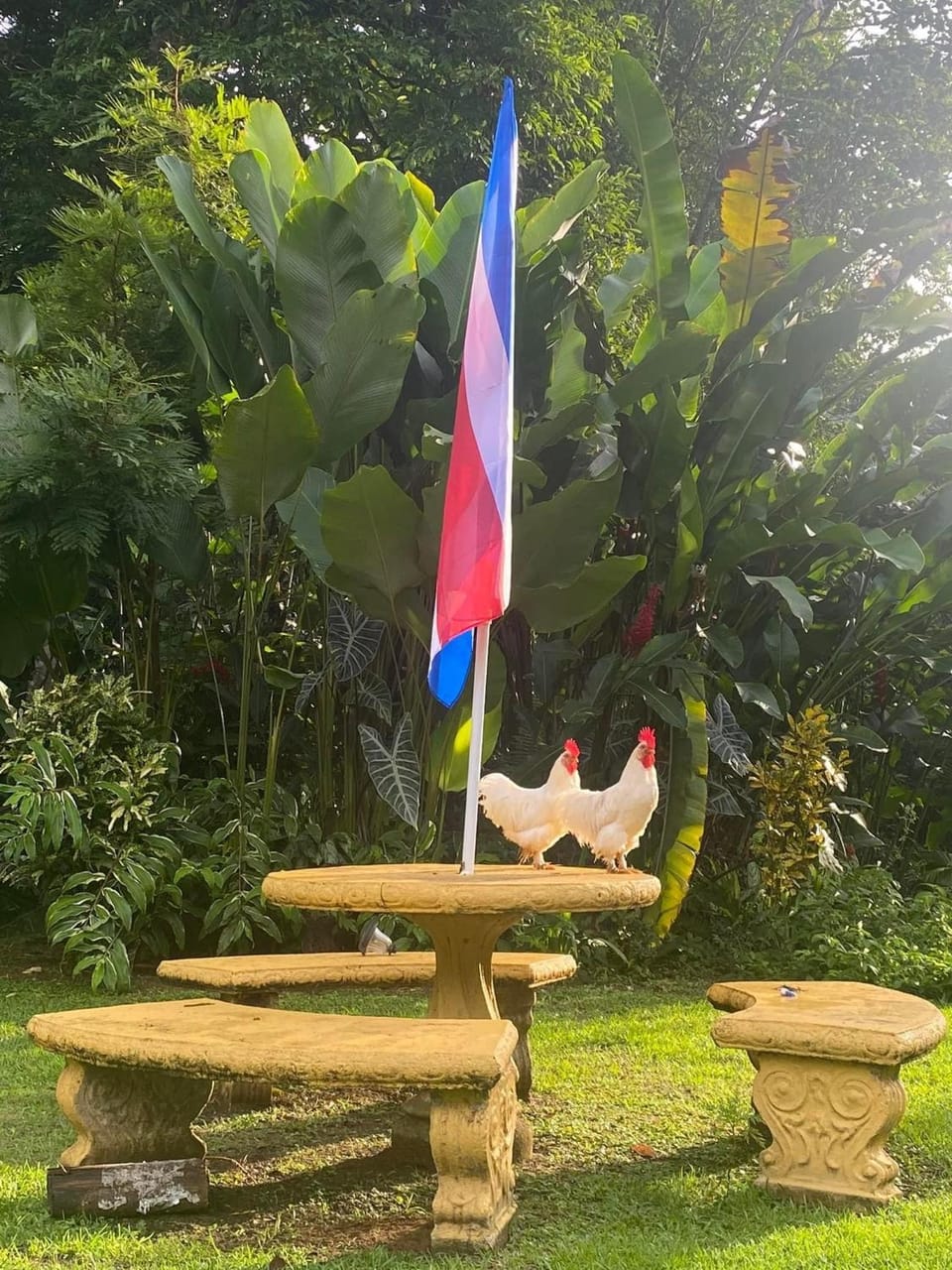 La Purruja Lodge Hotel in Puntarenas Province