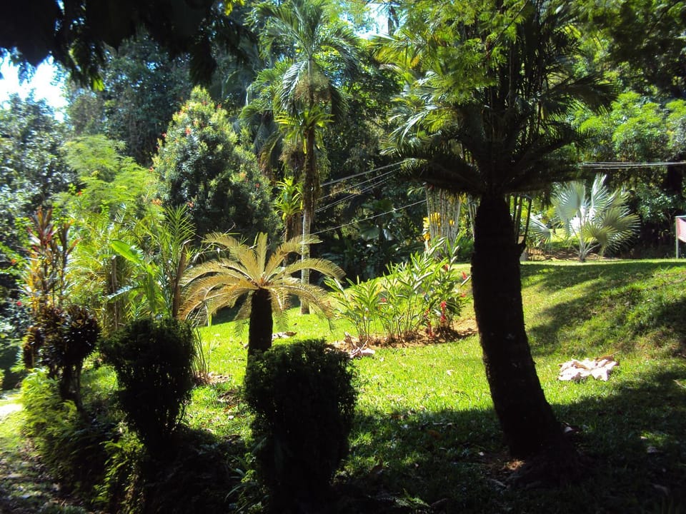 Natural landscape