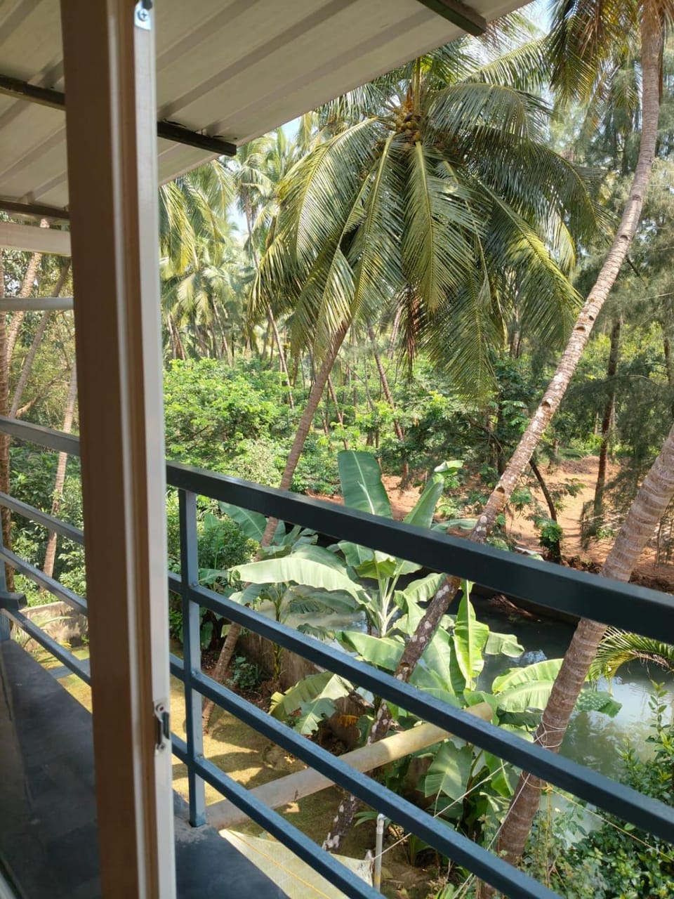 RED HOUSE - AGONDA BEACH Apartment in Agonda