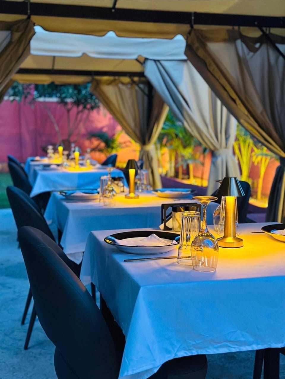 Garden, Dinner