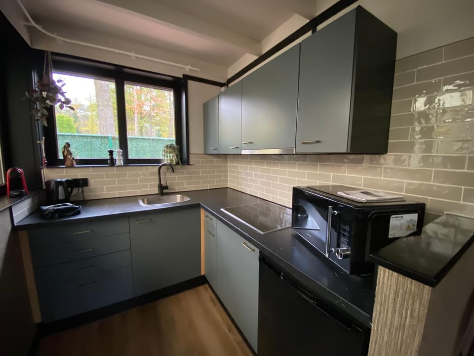 Coffee/tea facilities, Kitchen or kitchenette, oven, pet friendly, stove