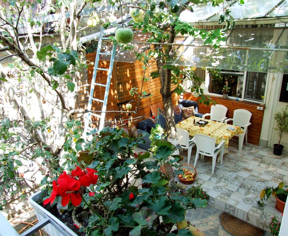 Garden, Balcony/Terrace, Seating area, Garden view
