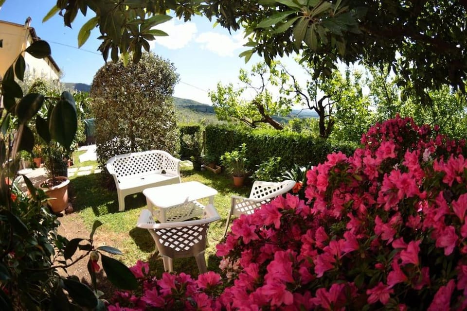 Day, Natural landscape, Garden