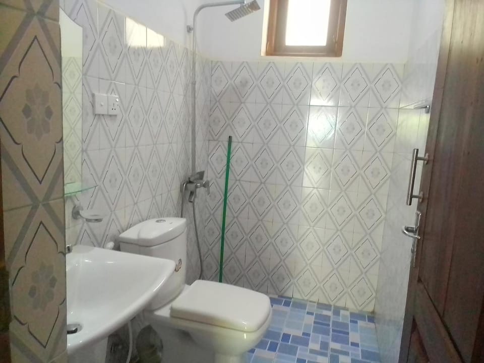 Shower, Toilet, Bathroom, bidet