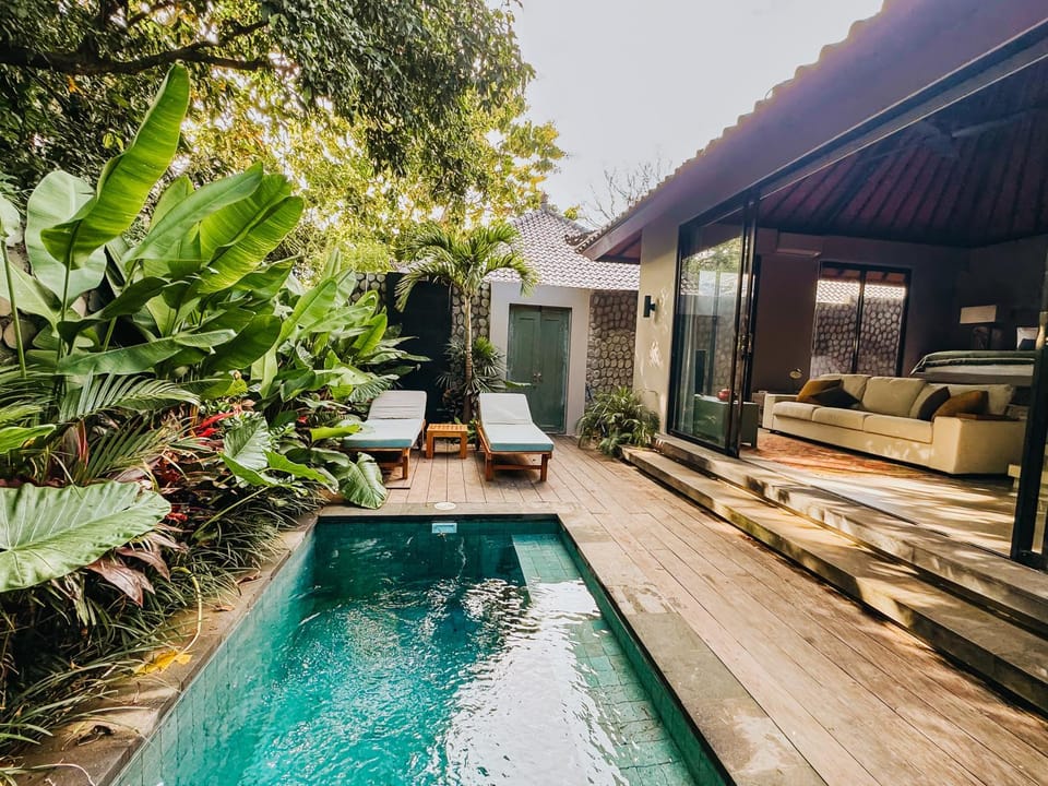 Patio, Garden, Swimming pool, sunbed