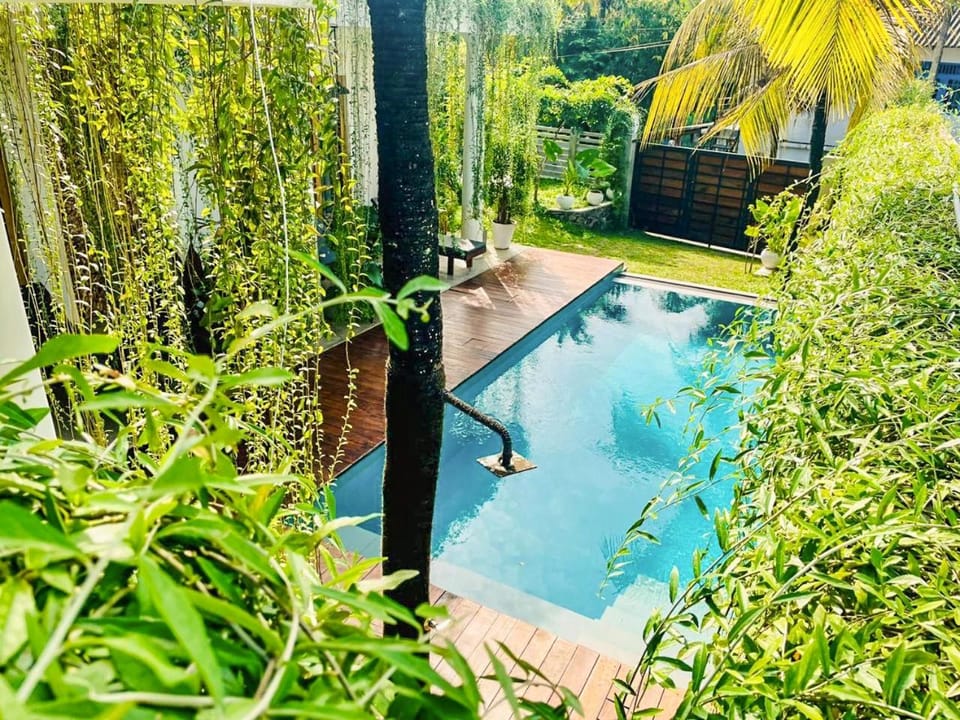 Garden, Garden view, Swimming pool
