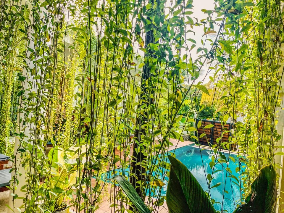 Garden, Garden view